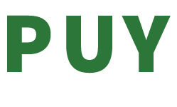 PARADOX UNIVERSITY logo